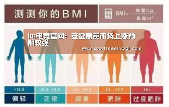 im电竞官网