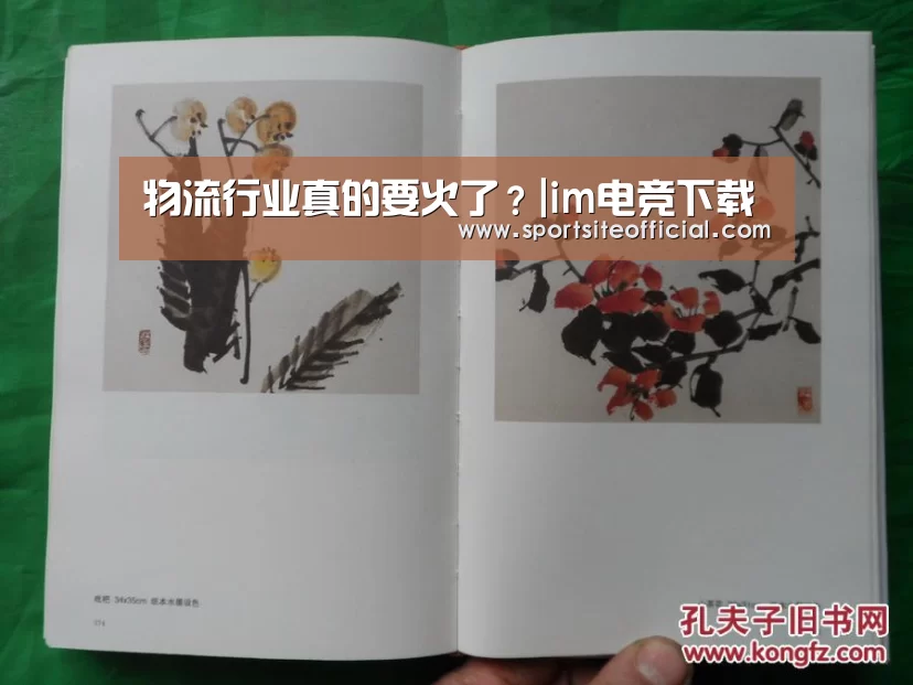 im电竞官网