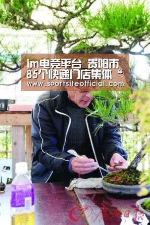im电竞官网