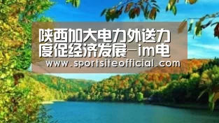 陕西加大电力外送力度促经济发展-im电竞官网(图3) im电竞官网