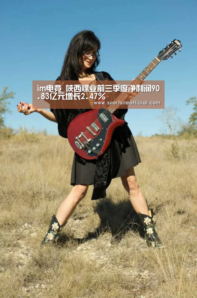 im电竞_陕西煤业前三季度净利润90.83亿元增长2.47%(图2) im电竞官网