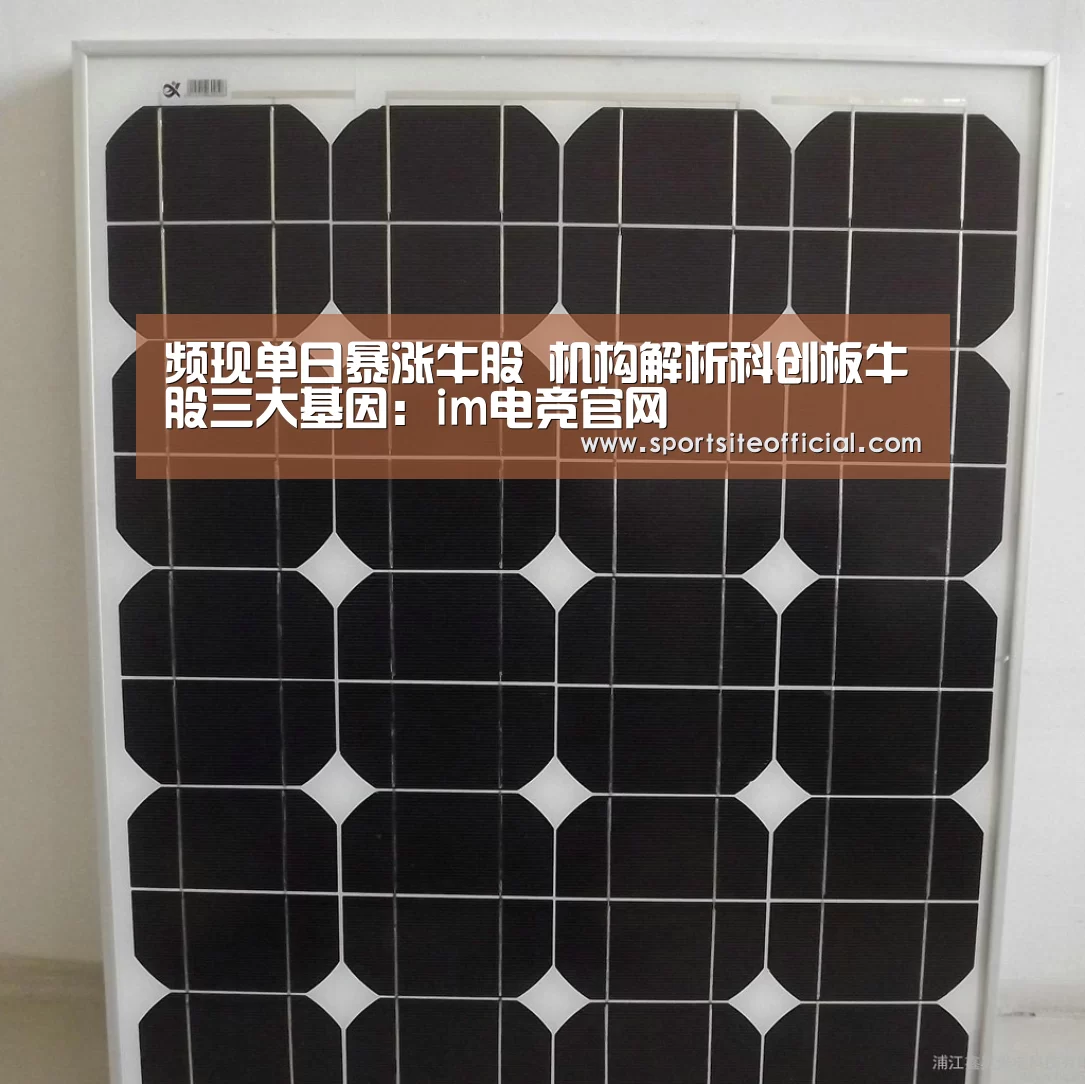 频现单日暴涨牛股 机构解析科创板牛股三大基因:im电竞官网(图2) im电竞平台