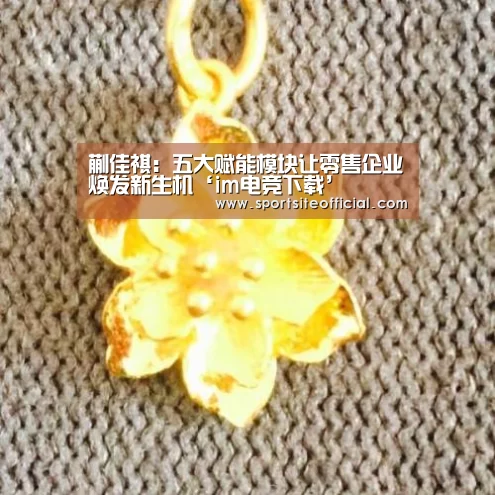 蒯佳祺:五大赋能模块让零售企业焕发新生机‘im电竞下载’(图3) im电竞官网