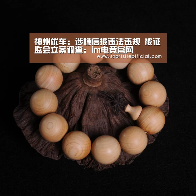 神州优车:涉嫌信披违法违规 被证监会立案调查:im电竞官网(图4) im电竞平台